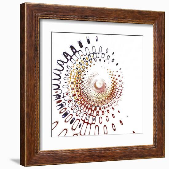 Variations on a Circle 28-Philippe Sainte-Laudy-Framed Premium Photographic Print