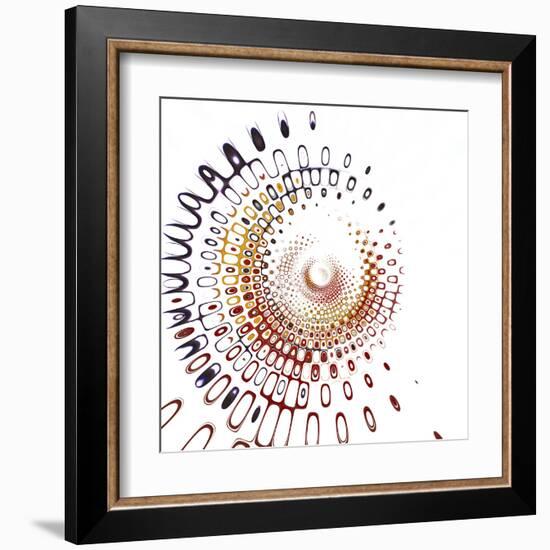 Variations on a Circle 28-Philippe Sainte-Laudy-Framed Premium Photographic Print