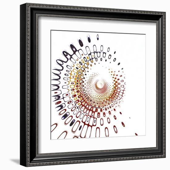 Variations on a Circle 28-Philippe Sainte-Laudy-Framed Premium Photographic Print