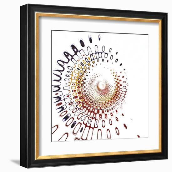 Variations on a Circle 28-Philippe Sainte-Laudy-Framed Premium Photographic Print