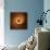 Variations on a Circle 31-Philippe Sainte-Laudy-Mounted Premium Photographic Print displayed on a wall