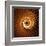 Variations on a Circle 31-Philippe Sainte-Laudy-Framed Premium Photographic Print