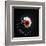 Variations on a Circle 32-Philippe Sainte-Laudy-Framed Premium Photographic Print