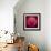 Variations On A Circle 44-Philippe Sainte-Laudy-Framed Photographic Print displayed on a wall