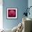 Variations On A Circle 44-Philippe Sainte-Laudy-Framed Photographic Print displayed on a wall