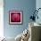 Variations On A Circle 44-Philippe Sainte-Laudy-Framed Photographic Print displayed on a wall