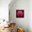 Variations On A Circle 44-Philippe Sainte-Laudy-Framed Stretched Canvas displayed on a wall