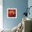 Variations On A Circle 4-Philippe Sainte-Laudy-Framed Photographic Print displayed on a wall