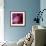 Variations On A Circle 51-Philippe Sainte-Laudy-Framed Photographic Print displayed on a wall