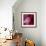 Variations On A Circle 51-Philippe Sainte-Laudy-Framed Photographic Print displayed on a wall