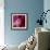 Variations On A Circle 51-Philippe Sainte-Laudy-Framed Photographic Print displayed on a wall