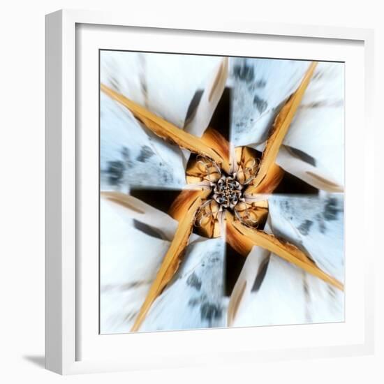 Variations On A Circle 72-Philippe Sainte-Laudy-Framed Photographic Print