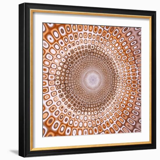 Variations On A Circle 74-Philippe Sainte-Laudy-Framed Photographic Print