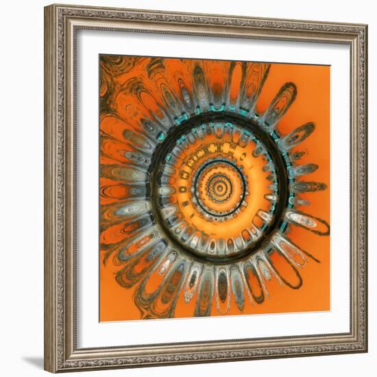 Variations On A Circle 76-Philippe Sainte-Laudy-Framed Photographic Print