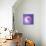Variations On A Circle 77-Philippe Sainte-Laudy-Photographic Print displayed on a wall