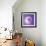 Variations On A Circle 77-Philippe Sainte-Laudy-Framed Photographic Print displayed on a wall