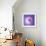 Variations On A Circle 77-Philippe Sainte-Laudy-Framed Photographic Print displayed on a wall