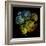 Varicoloured View-Kareem Rizk-Framed Giclee Print