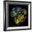 Varicoloured View-Kareem Rizk-Framed Giclee Print