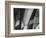 Varied Shapes I-Eva Bane-Framed Photographic Print