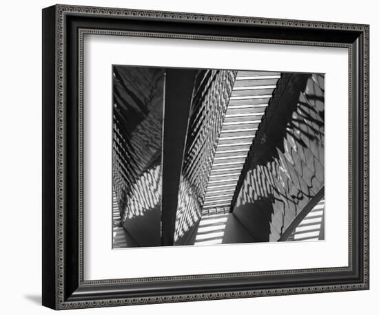 Varied Shapes I-Eva Bane-Framed Photographic Print