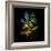 Variegated Vision-Kareem Rizk-Framed Giclee Print