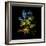 Variegated Vision-Kareem Rizk-Framed Giclee Print