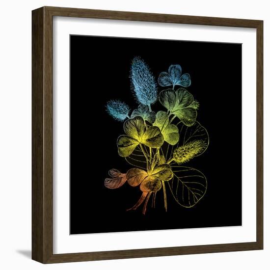 Variegated Vision-Kareem Rizk-Framed Giclee Print