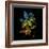 Variegated Vision-Kareem Rizk-Framed Giclee Print