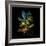 Variegated Vision-Kareem Rizk-Framed Giclee Print