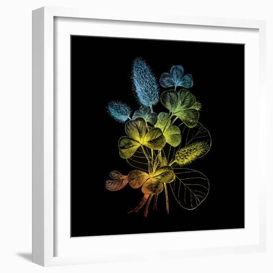 Variegated Vision-Kareem Rizk-Framed Giclee Print