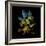 Variegated Vision-Kareem Rizk-Framed Giclee Print