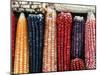 Varieties of Corn that Lacandons Grow in Their Milpas, Selva Lacandona, Naha, Chiapas, Mexico-Russell Gordon-Mounted Photographic Print