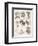 Varieties of the Cinchona Species-Barlow-Framed Photographic Print