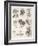 Varieties of the Cinchona Species-Barlow-Framed Photographic Print