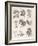 Varieties of the Cinchona Species-Barlow-Framed Photographic Print