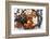 Variety of 12 Assorted Nuts and Dried Fruits-alenkasm-Framed Photographic Print