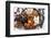 Variety of 12 Assorted Nuts and Dried Fruits-alenkasm-Framed Photographic Print