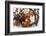 Variety of 12 Assorted Nuts and Dried Fruits-alenkasm-Framed Photographic Print