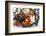 Variety of 12 Assorted Nuts and Dried Fruits-alenkasm-Framed Photographic Print