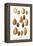 Variety of Almonds-null-Framed Stretched Canvas