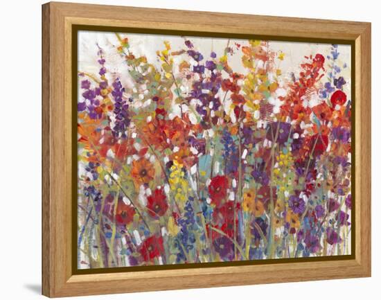 Variety of Flowers II-Tim O'toole-Framed Stretched Canvas