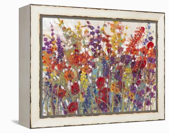 Variety of Flowers II-Tim O'toole-Framed Stretched Canvas