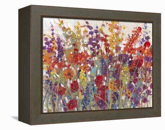 Variety of Flowers II-Tim O'toole-Framed Stretched Canvas