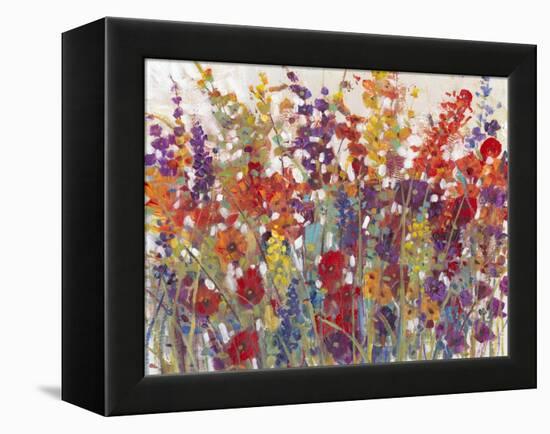 Variety of Flowers II-Tim O'toole-Framed Stretched Canvas