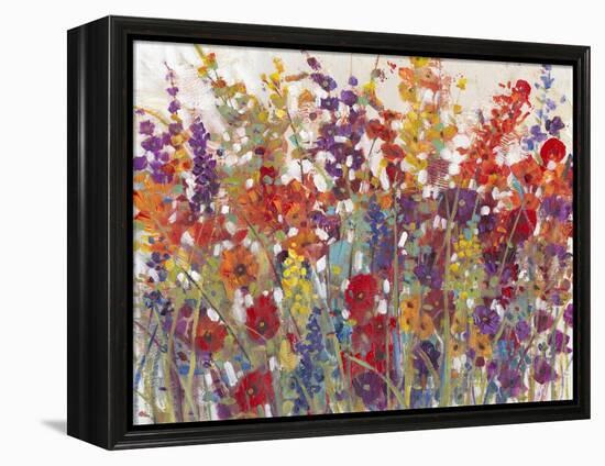 Variety of Flowers II-Tim O'toole-Framed Stretched Canvas