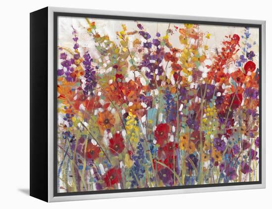 Variety of Flowers II-Tim O'toole-Framed Stretched Canvas