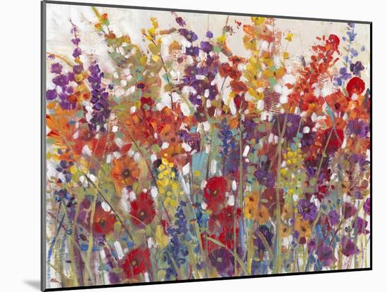 Variety of Flowers II-Tim O'toole-Mounted Art Print