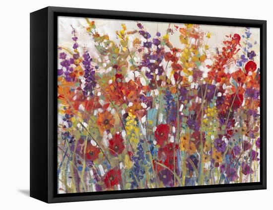 Variety of Flowers II-Tim OToole-Framed Stretched Canvas