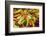 Variety of peppers.-Tom Haseltine-Framed Photographic Print